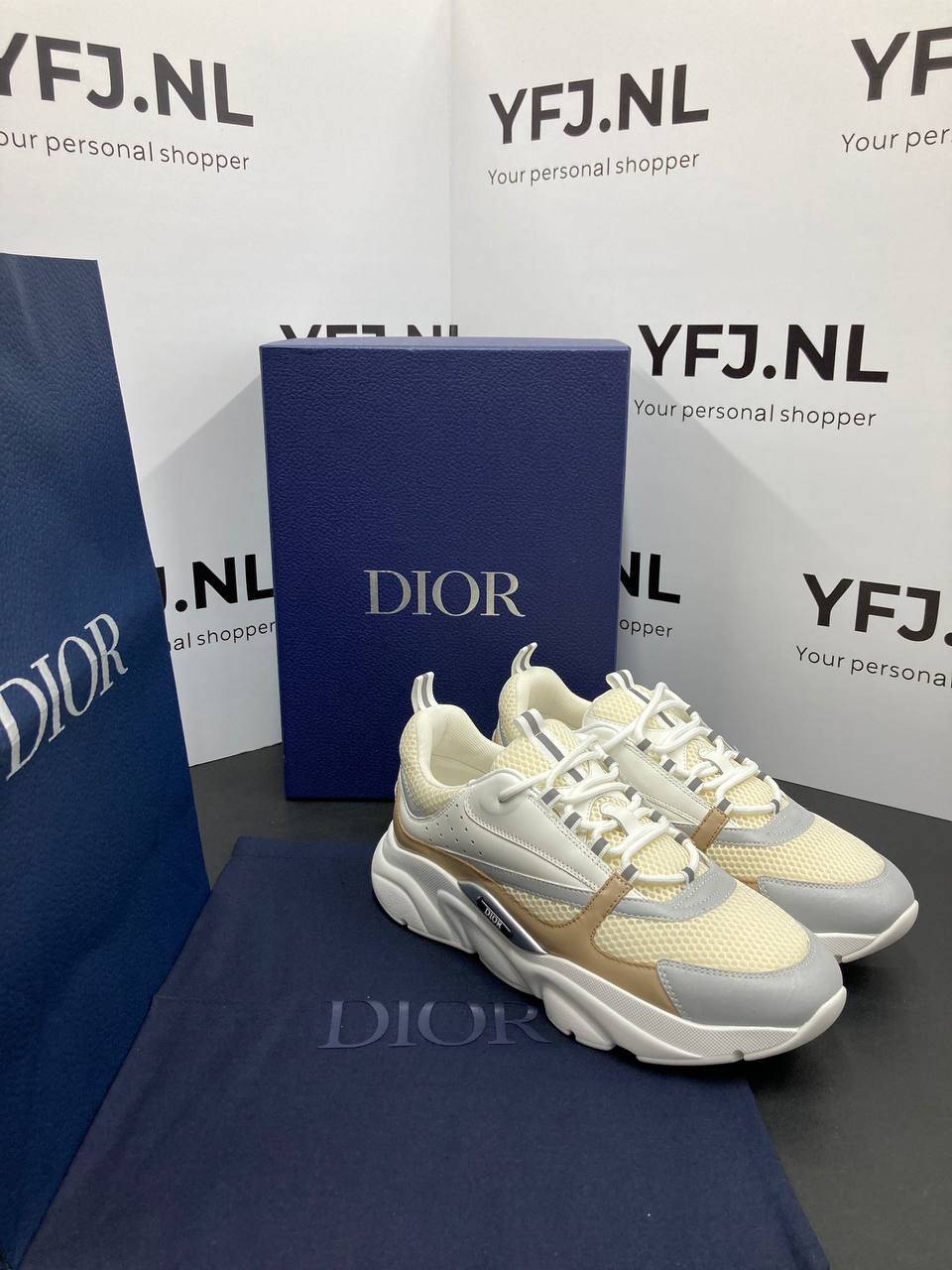 DIOR B22 Grijs Beige